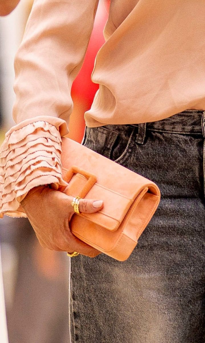 Sofia Vergara's clutch bag