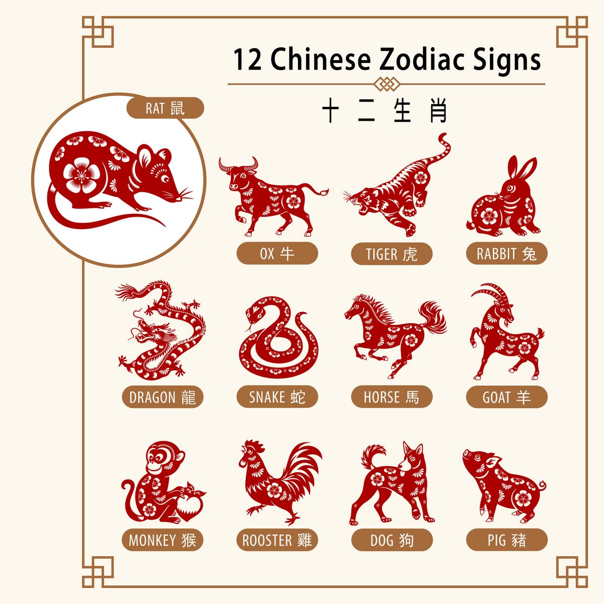 12 Chinese zodiac animals are used to represent years of the lunar calendar, in order are: rat, ox, tiger, rabbit, dragon, snake, horse, goat, monkey, rooster, dog and pig.