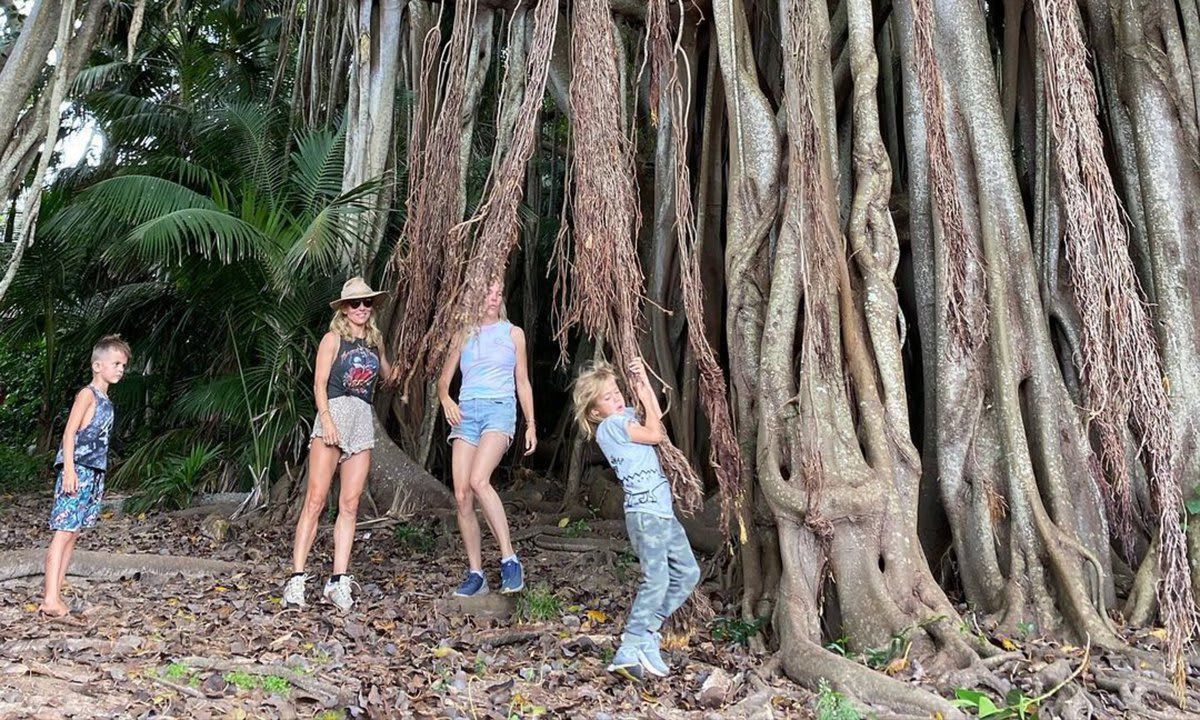 Trees in Australia.