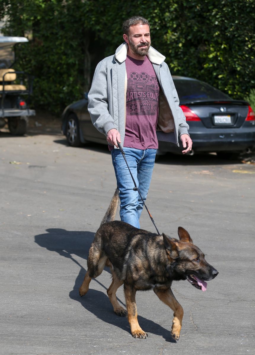 Ben Affleck has a history of owning German Shepherds