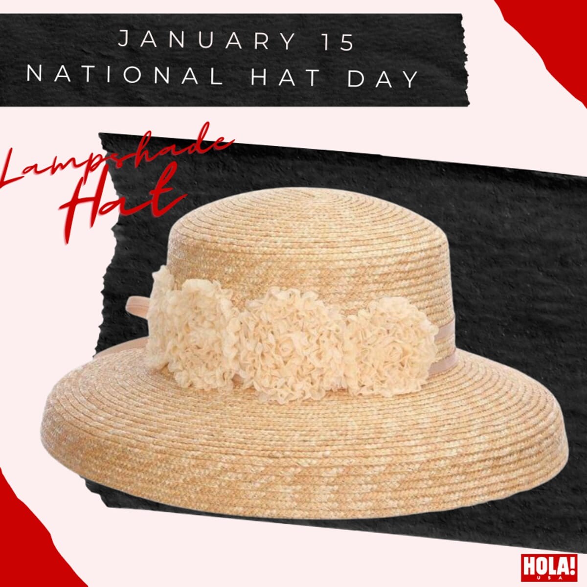National Hat Day: Lampshade