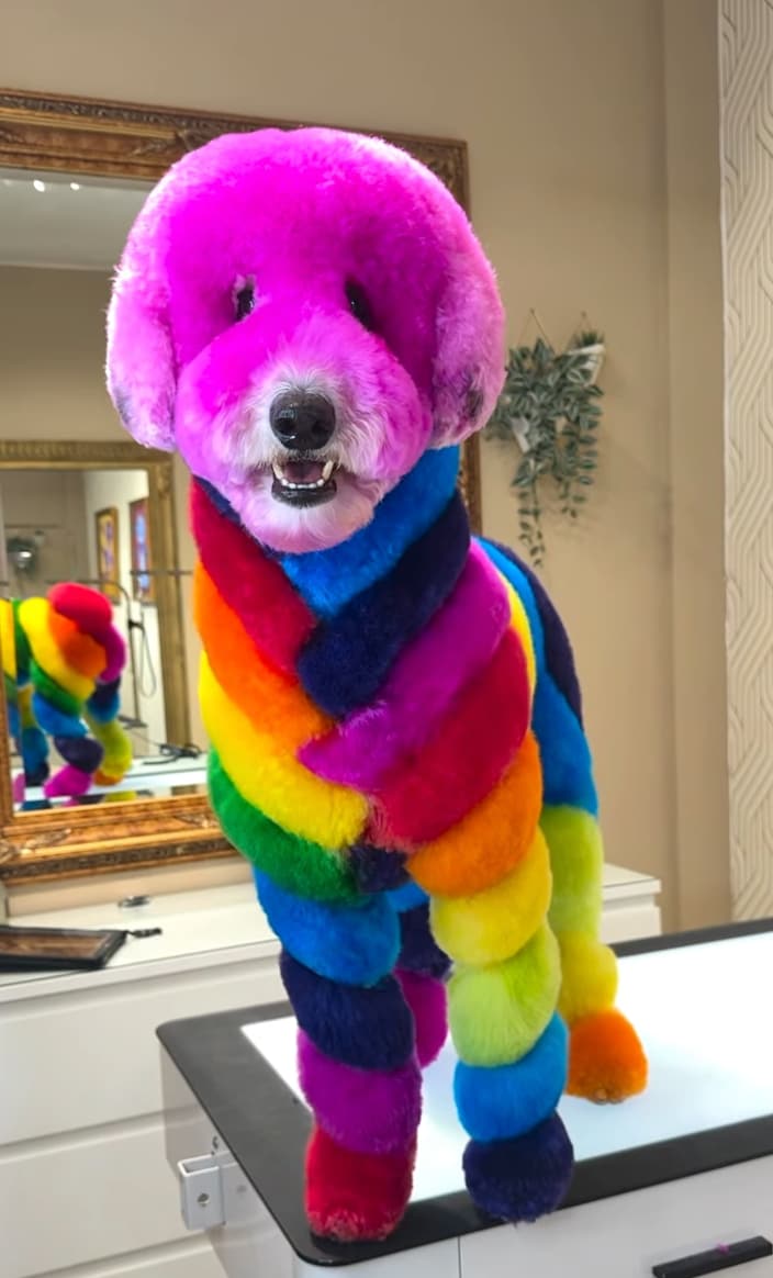 It’s officially spooky season, and these pups are stealing the show with transformations so good, they’ll make you look twice.