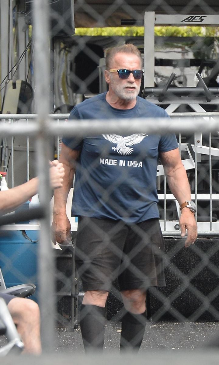 Arnold Schwarzenegger work out