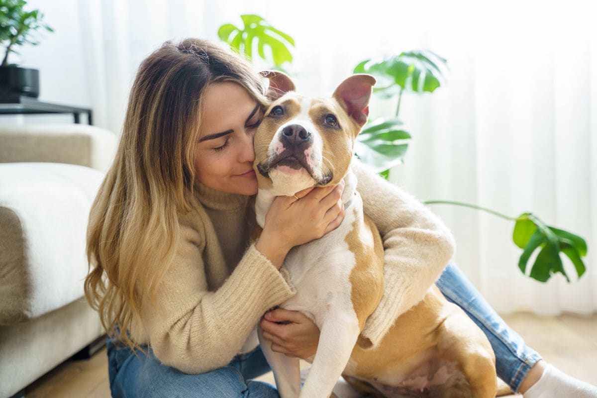 Your dog probably doesn't like being hugged like you think they do