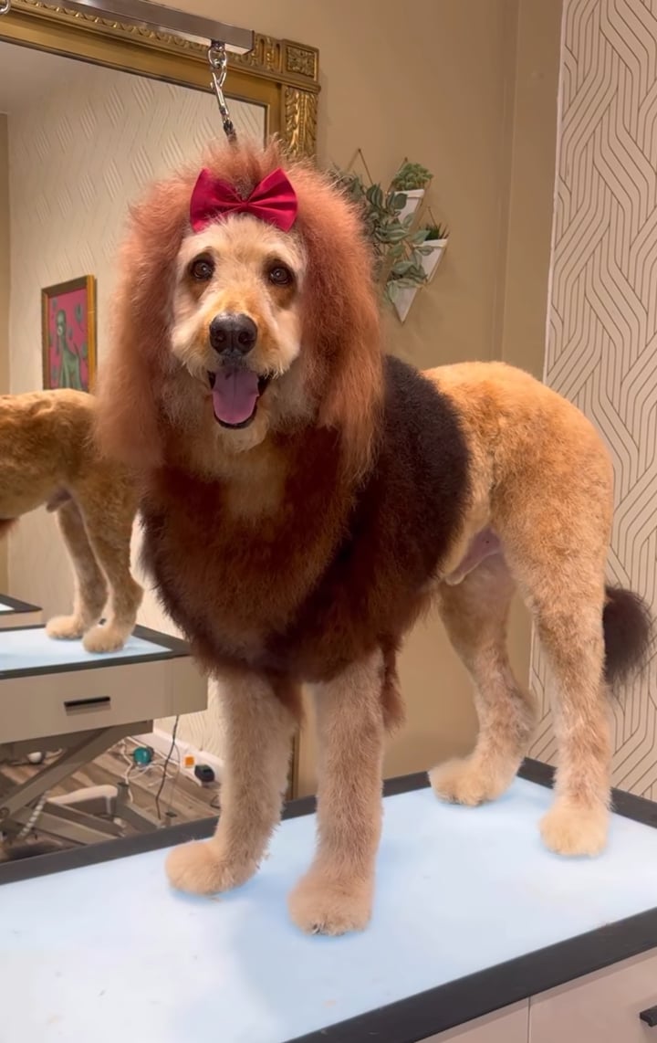 People all over the world have seen Gabriel’s designs on social media, with multiple of his videos going viral