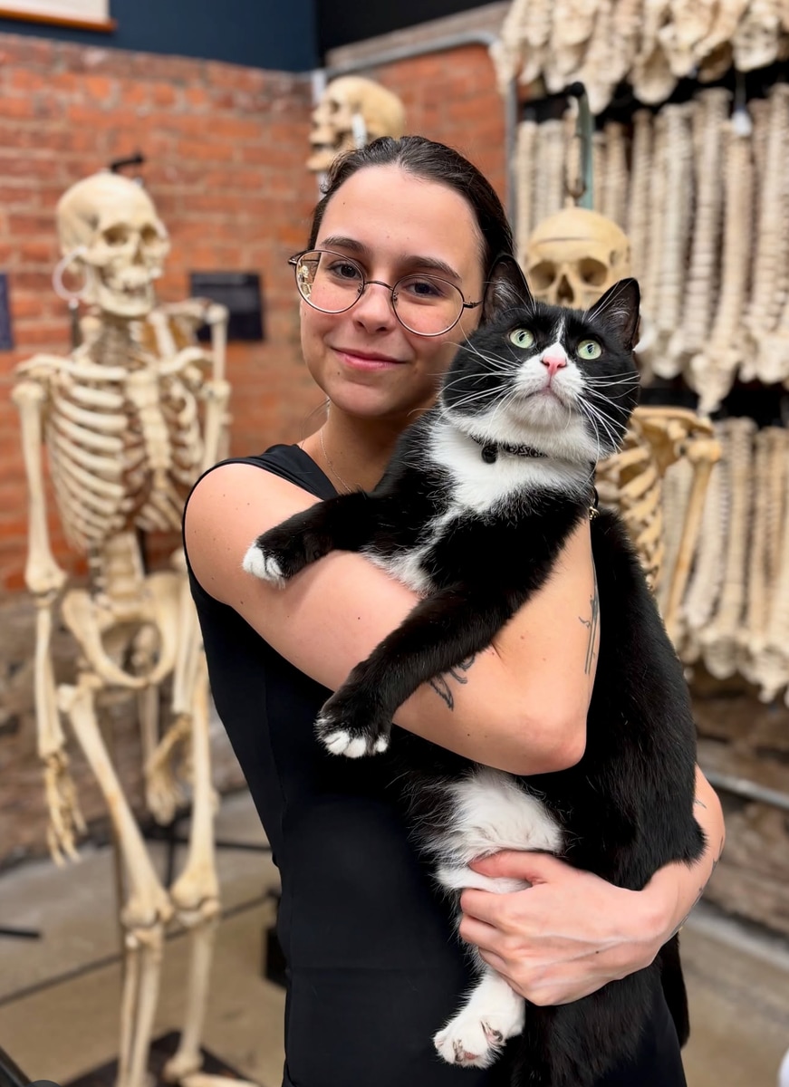 Pet of the week: Meet Bone Jovi, the shelter cat who found a home in a museum