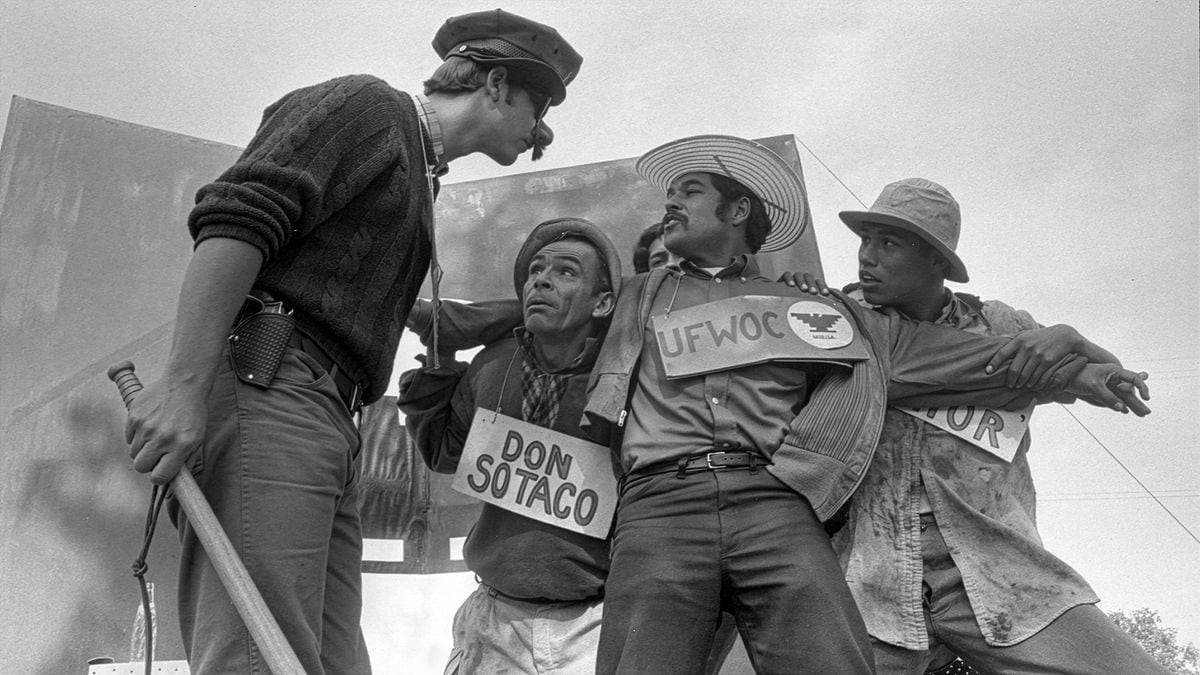 Luis Valdez, Felipe Cantu and Danny Valdez appear in American Pachuco: The Legend of Luis Valdez by David Alvardo, an official selection of the 2026 Sundance Film Festival.