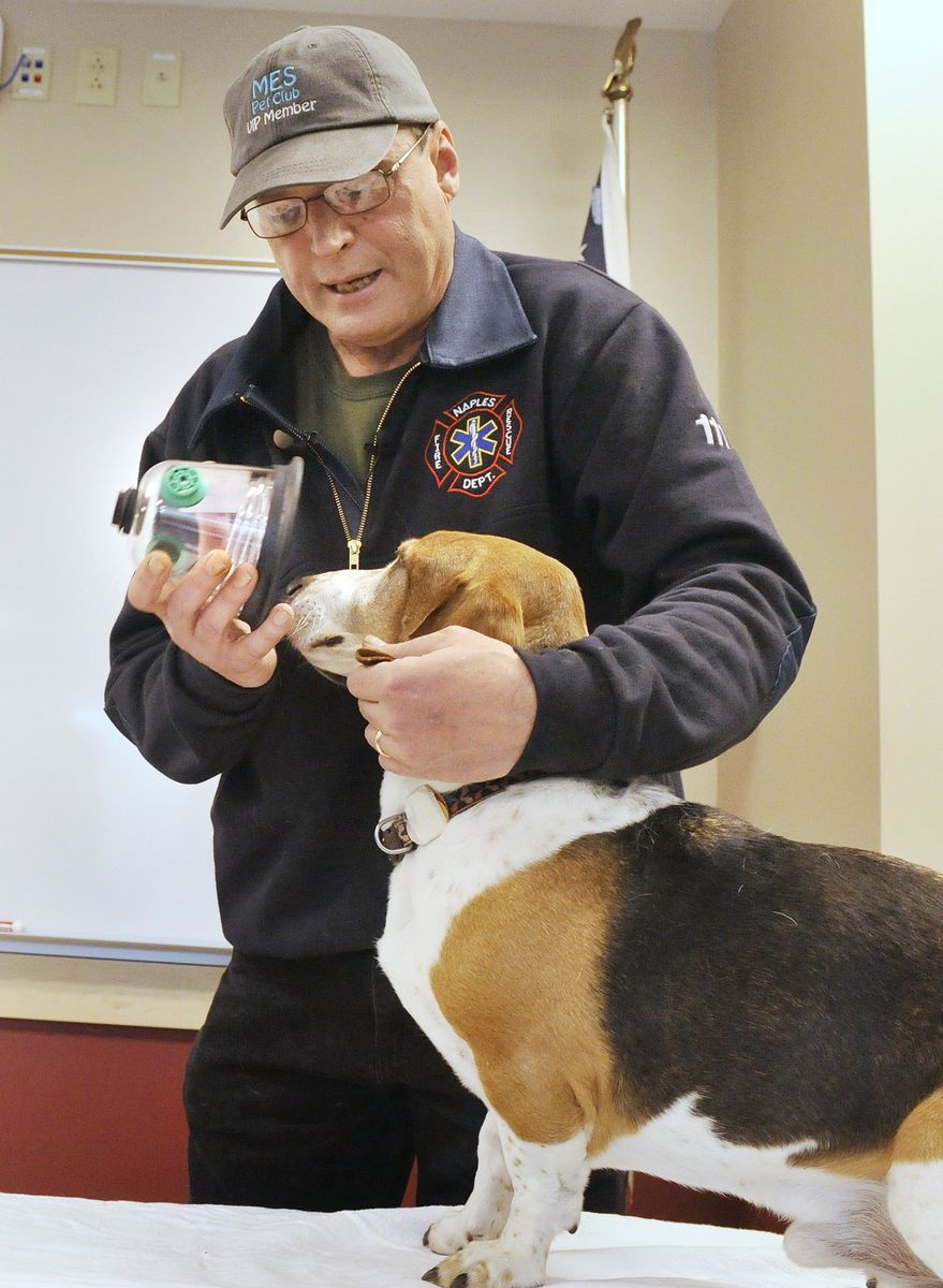 Unlike human oxygen masks, animal rescue masks are cone-shaped to create a secure seal around the snout of dogs and cats or the beak of birds.