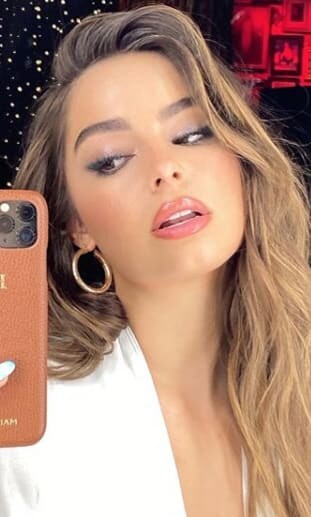 TikTok star, Addison Rae got called out by Ariana Grande for partying during the pandemic.