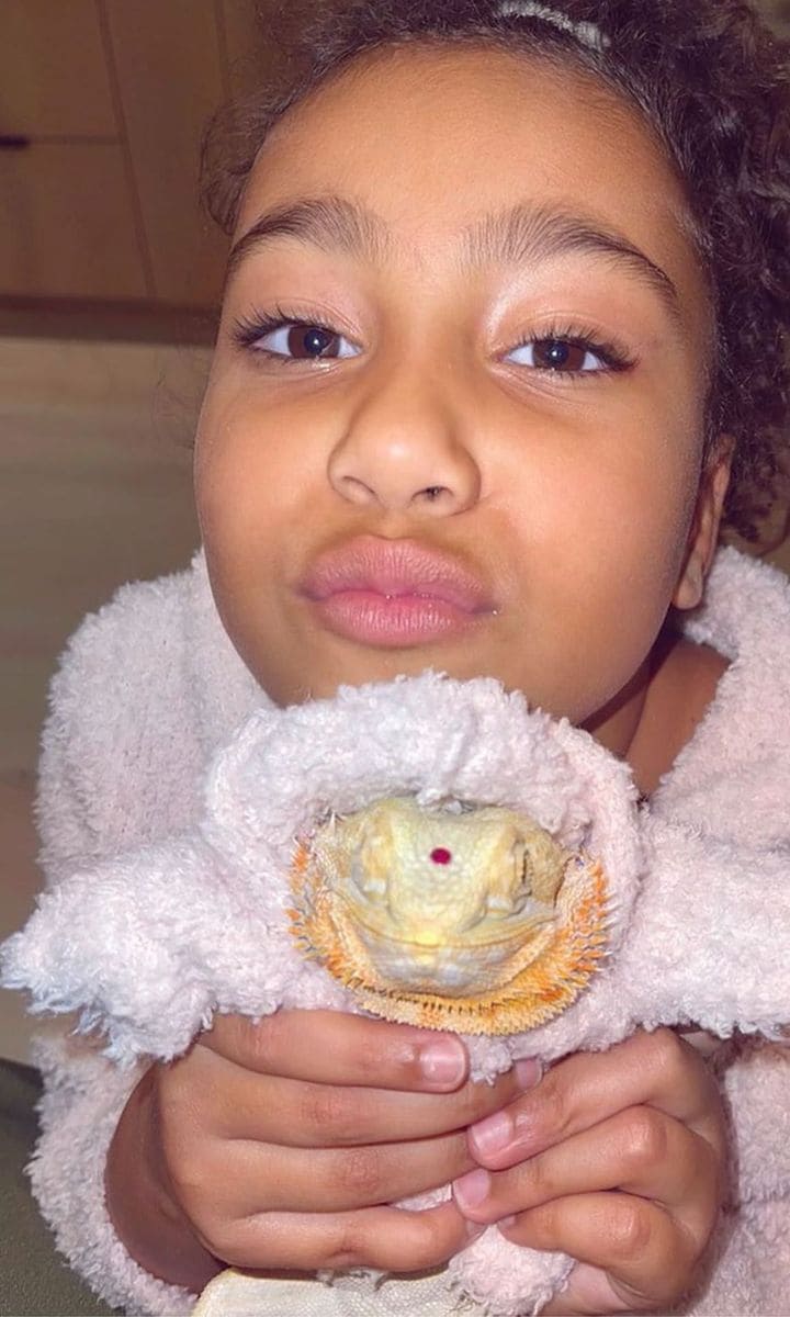 North West and Speed Kardashian