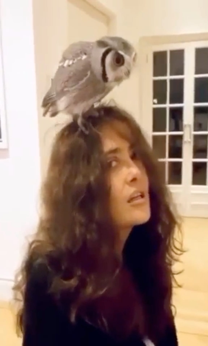 Salma Hayek Reveals Charming Story Of Rescuing Her Pet Owl