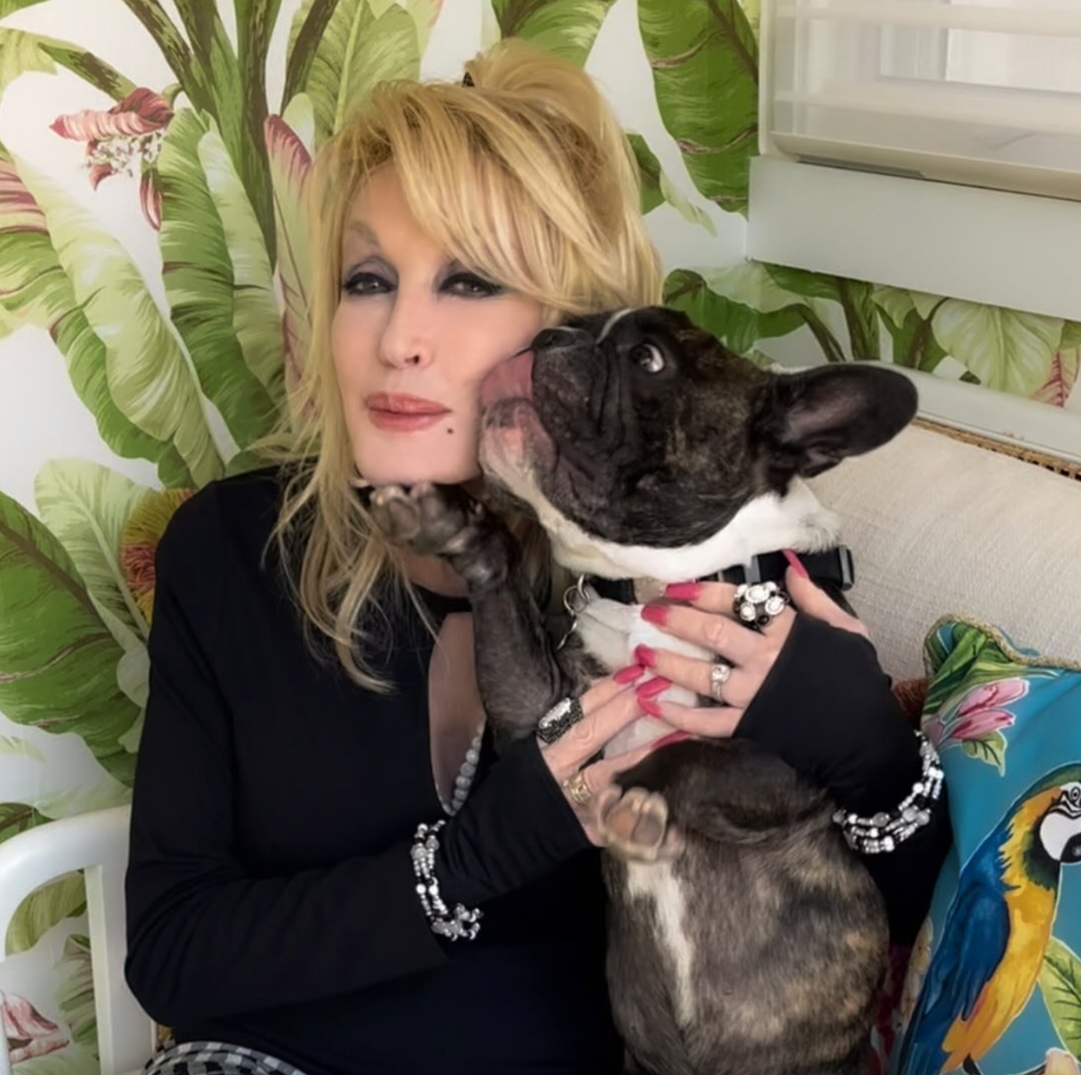 Dolly Parton poses with Billy the Kid, the French bulldog she affectionately called her “god-dog.” The beloved pup, owned by her longtime manager Danny Nozell, inspired the country legend’s children’s book series.