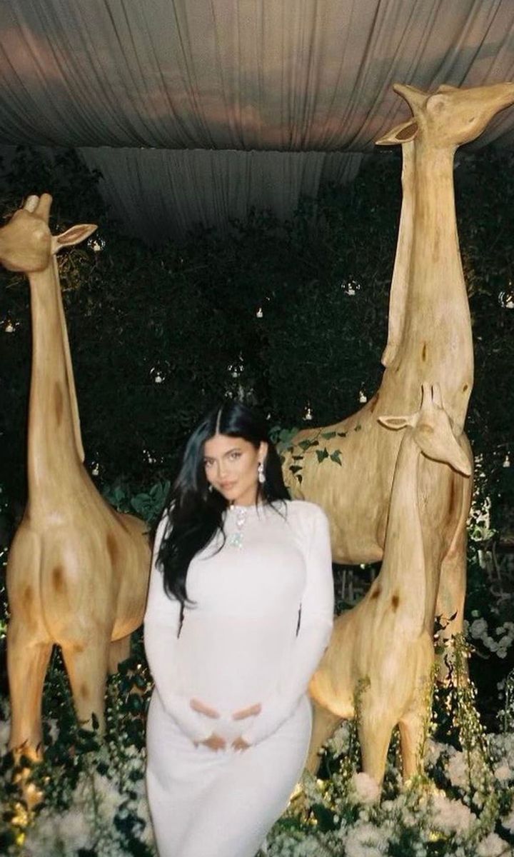 Kylie Jenner had an adorable giraffe themed baby shower