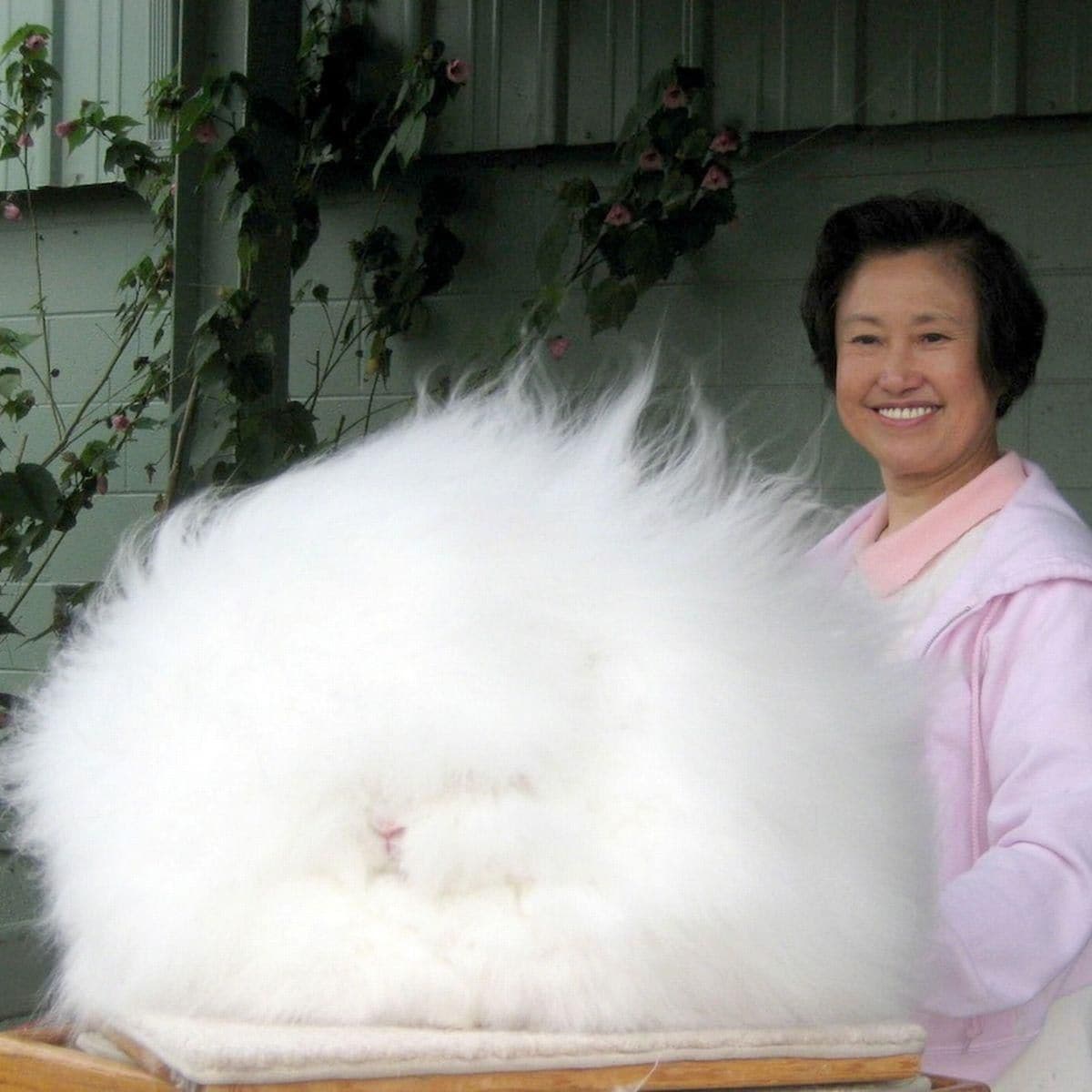 Guinness World Records