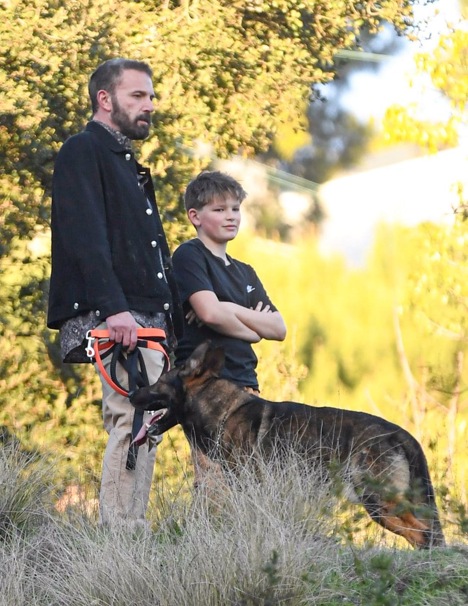 Ben Affleck and his son are spotted playing fetch with their two new guard dogs