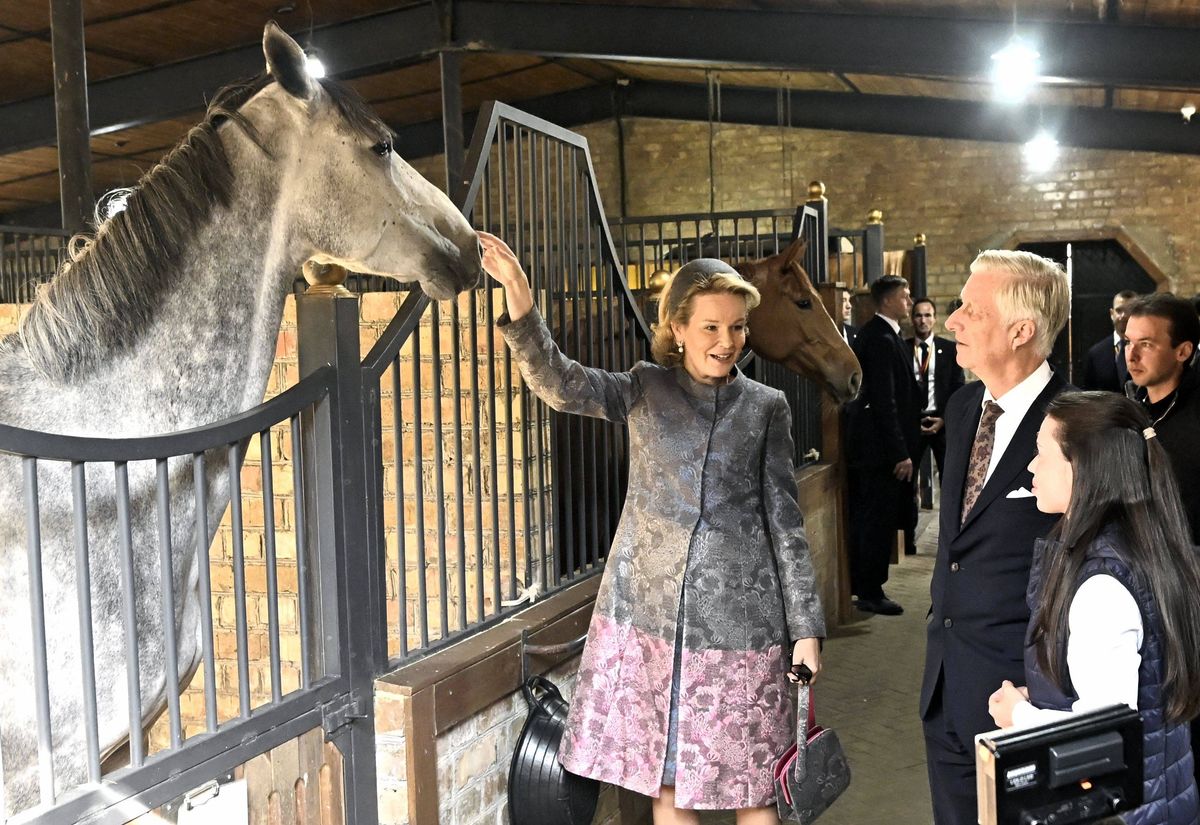 Queen Mathilde reached up to pet a gray horse while King Philippe stood nearby during their stable visit.