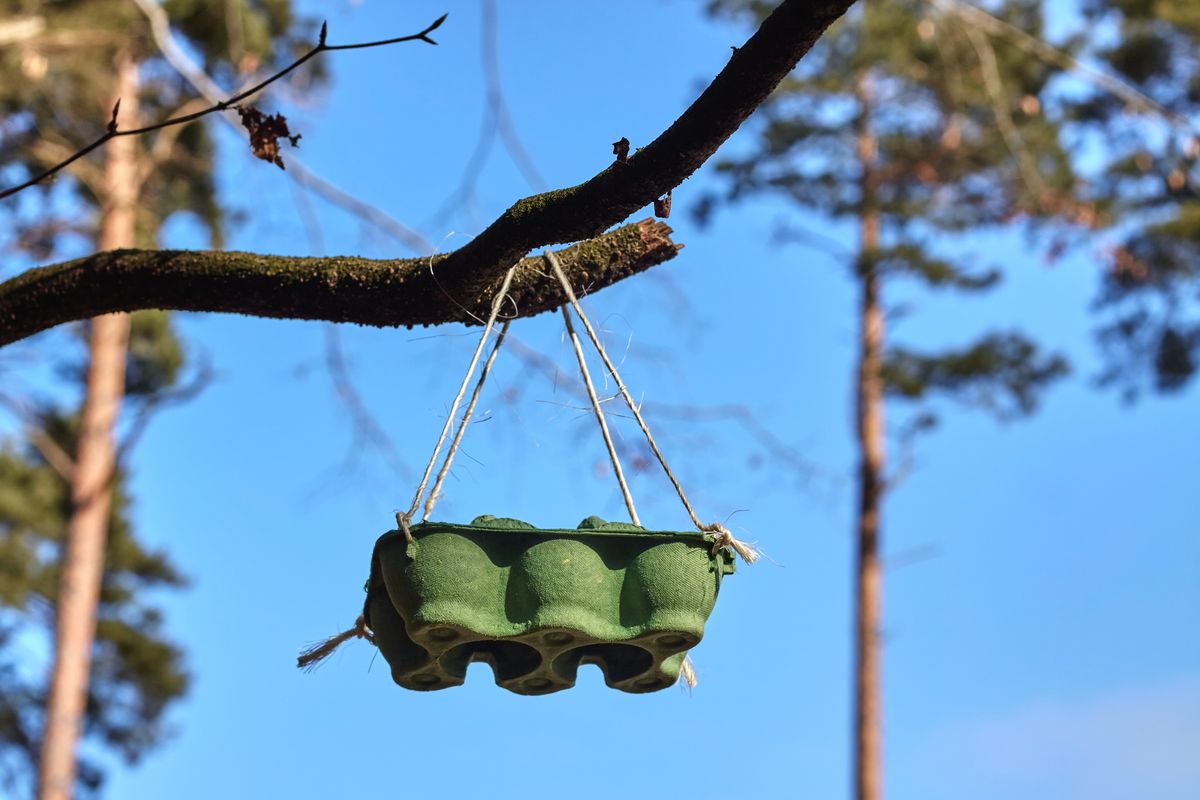 Suddenly, their craft becomes part of the ecosystem.