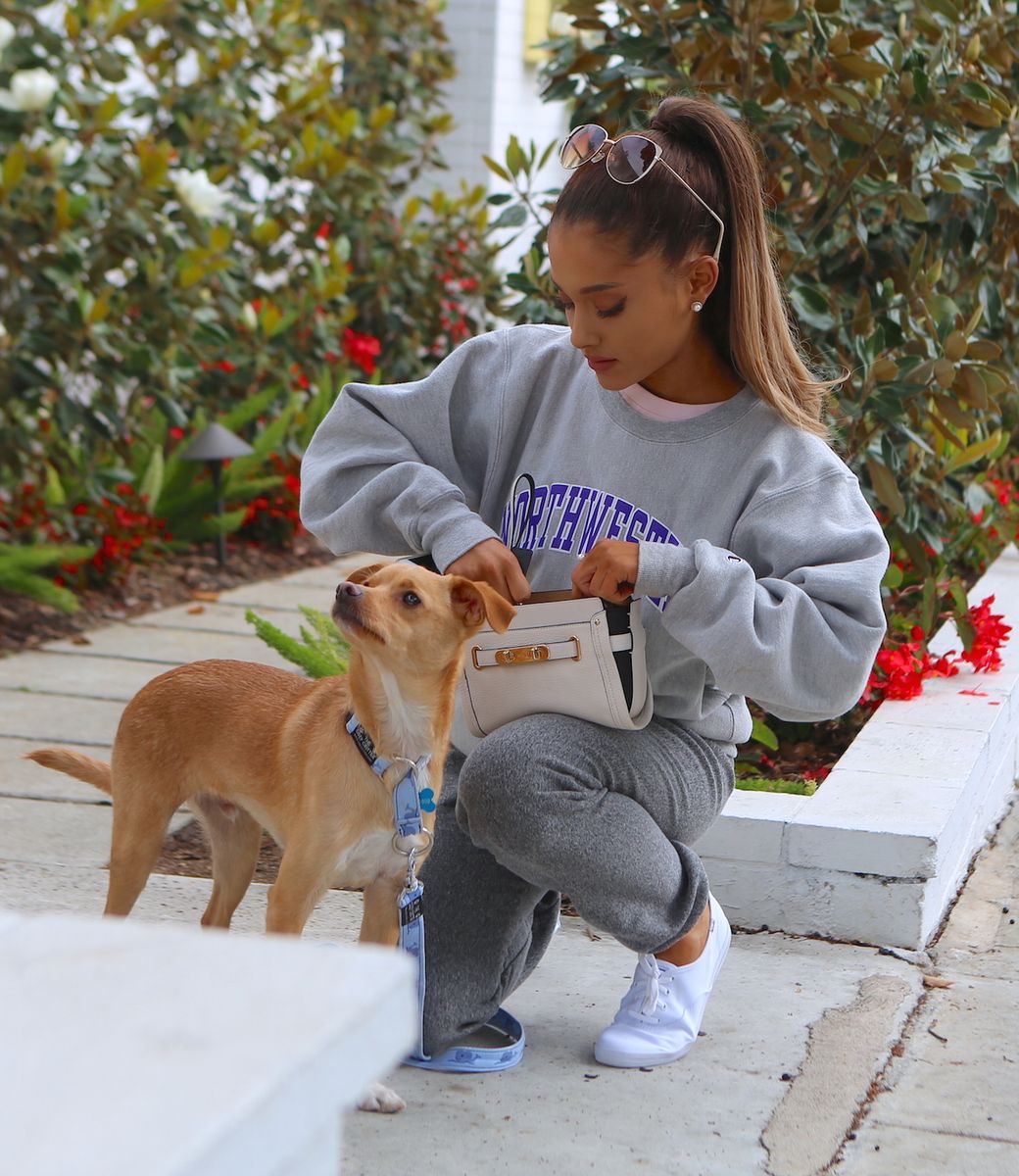 Ariana still has her son Toulouse, pictured here in 2015