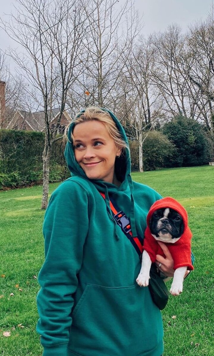 reese witherspoon dog