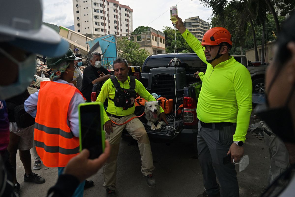 Rescue dog 'Tsunami' receives hydration after long hours of work in Caraballeda, La Guaira State, Venezuela.