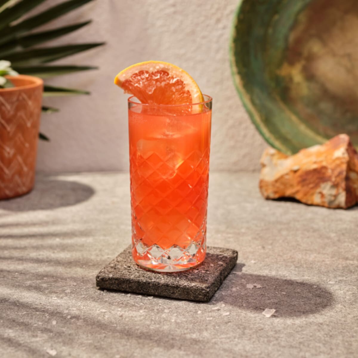 Venetian Paloma