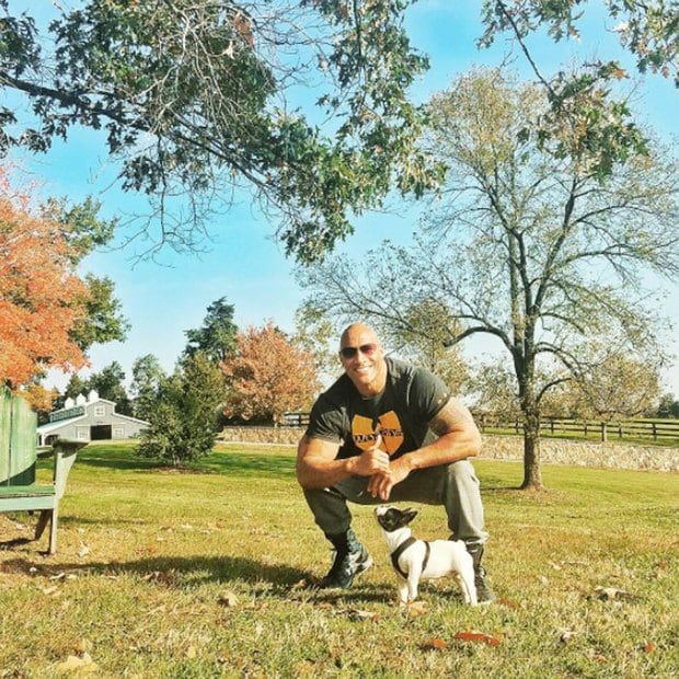 The actor has a dog named Hobbs to balance all the estrogen in his house.
Photo: Instagram/@therock