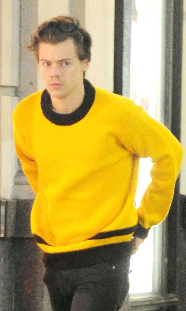 Harry Styles
