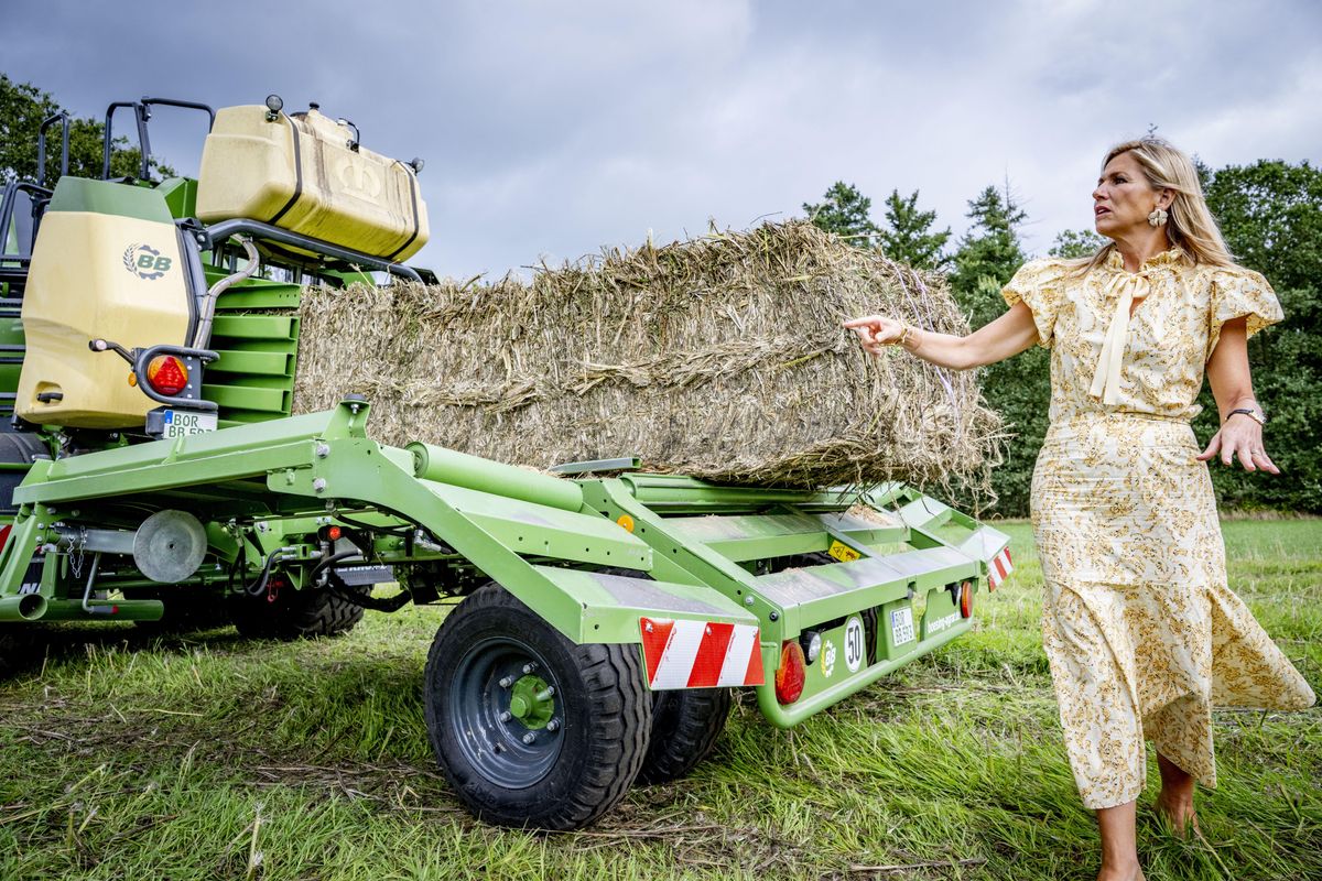 Máxima revealed that she had driven a tractor before as she confidently took the wheel during her visit to the hemp field.