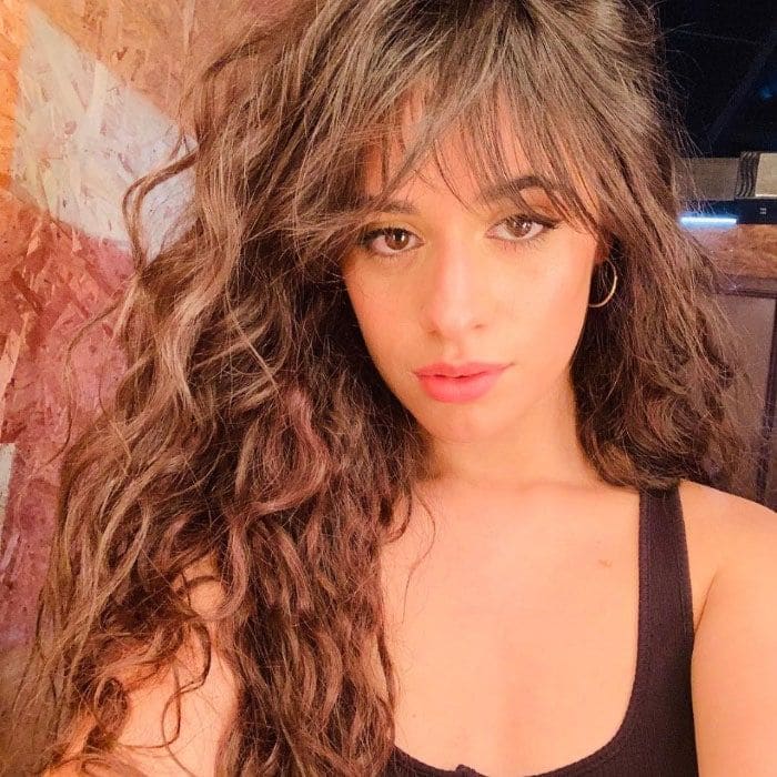 Camila Cabello falling in love