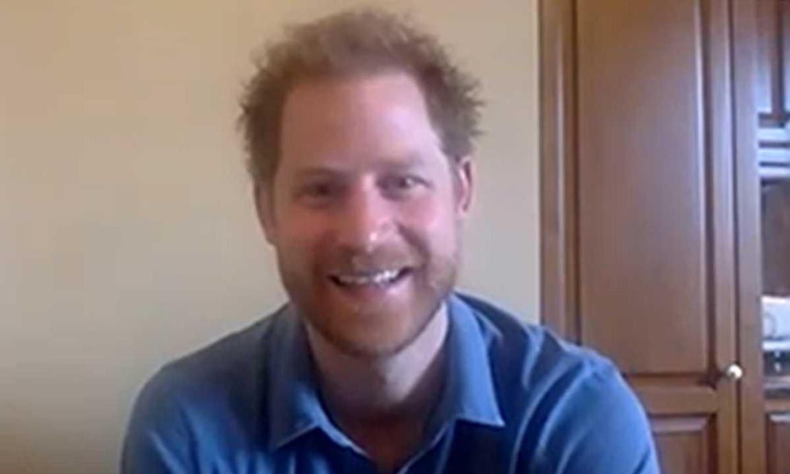 Prince Harry during chat with patronage WellChild