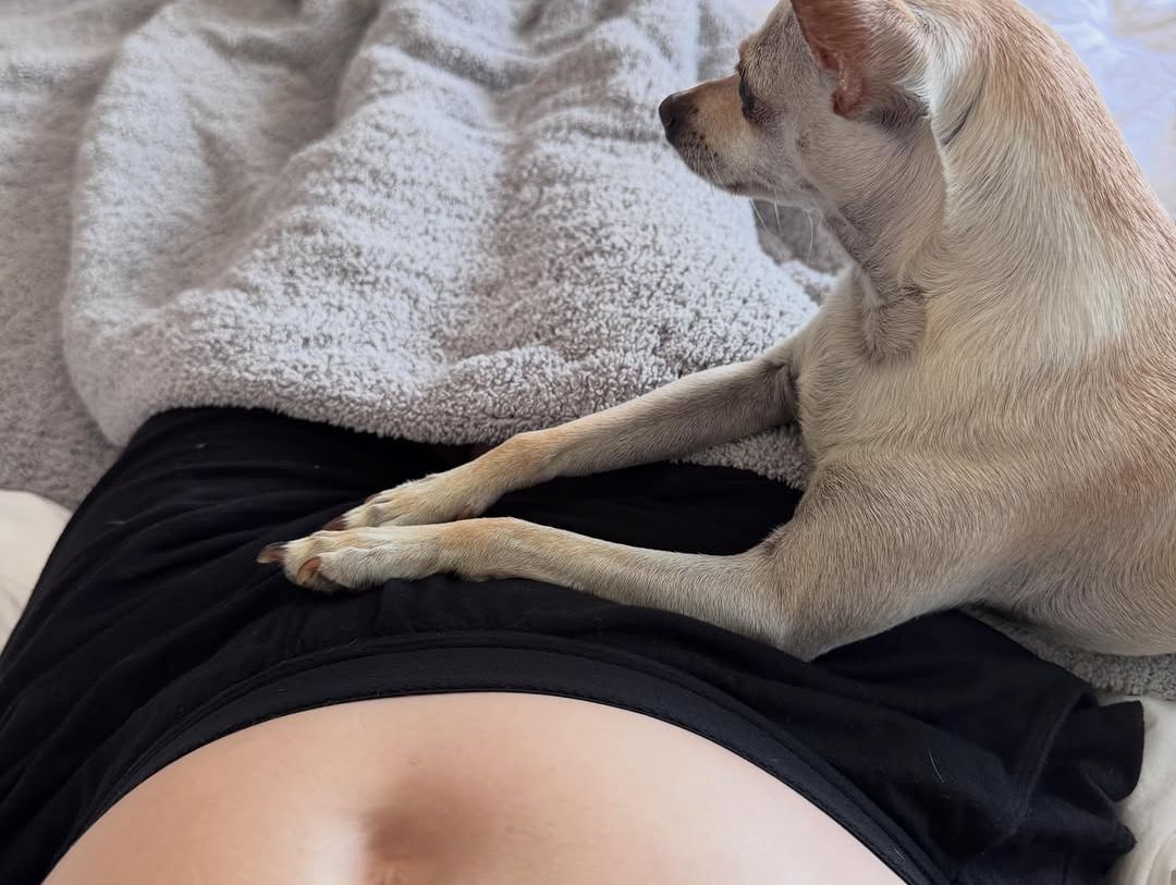 Even their pooch is getting used to the changes 