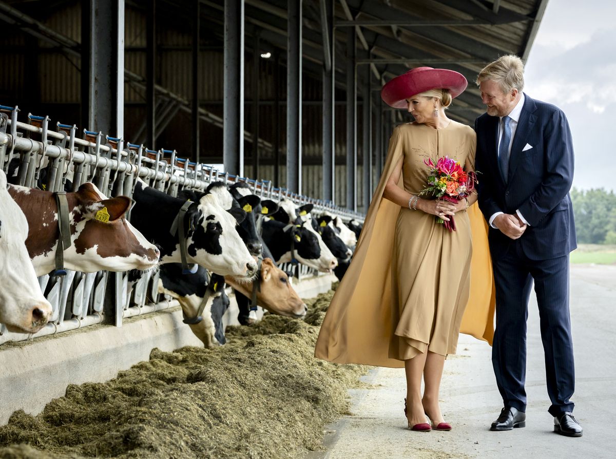 Dutch King Willem-Alexander and Queen Maxima visit the Riedstra-Hoving Dairy Farm in Veenhuizen