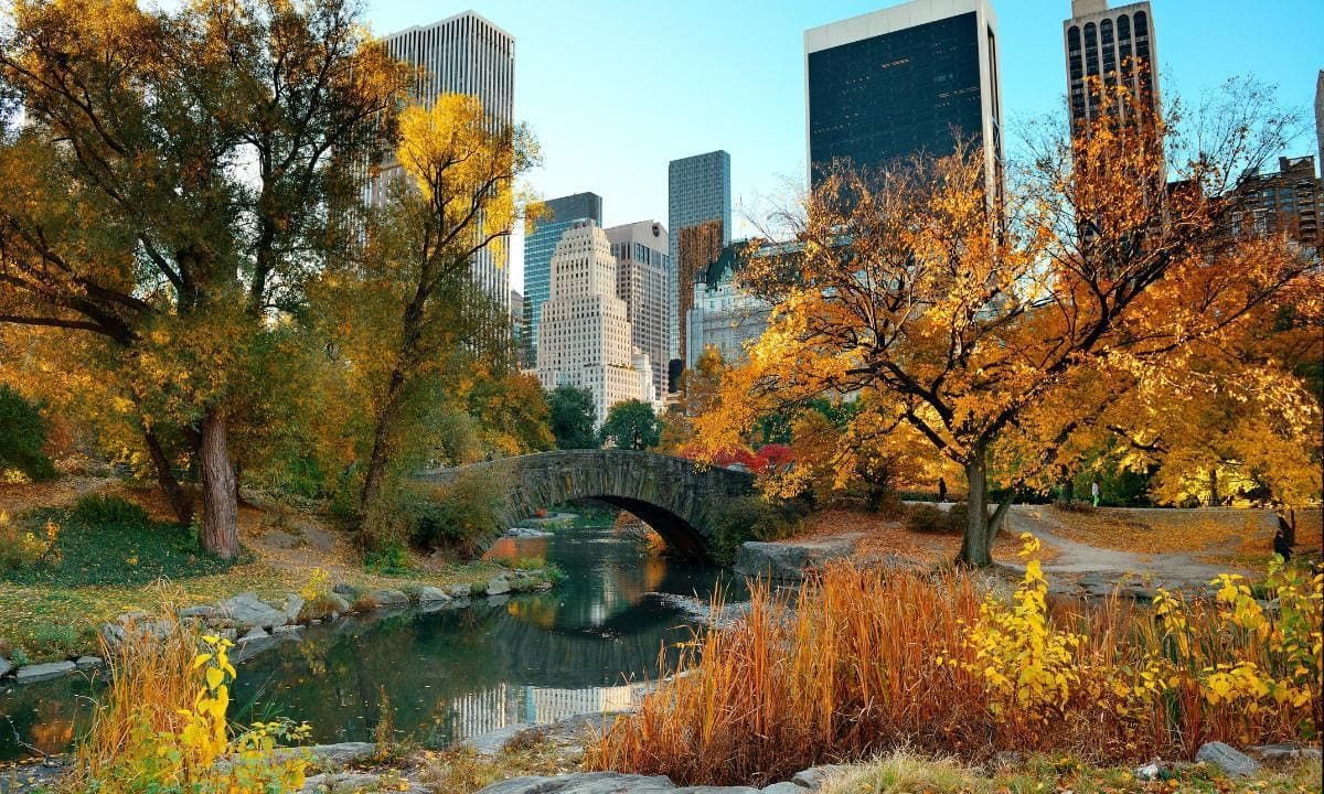 Romantic places to pop the question on Valentine's Day