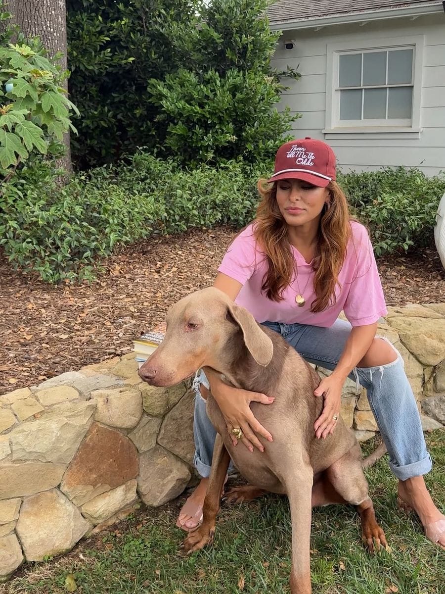 Eva Mendes' dogs go viral: Lucho's camera hate vs. Magic's model poses