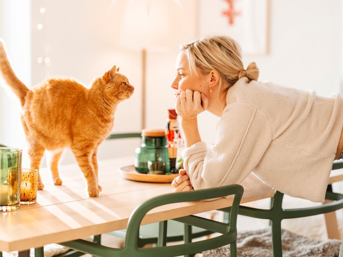 Woman at home with cat on the table cuddling her old ginger pet
Candid photo taken indoors in natural light