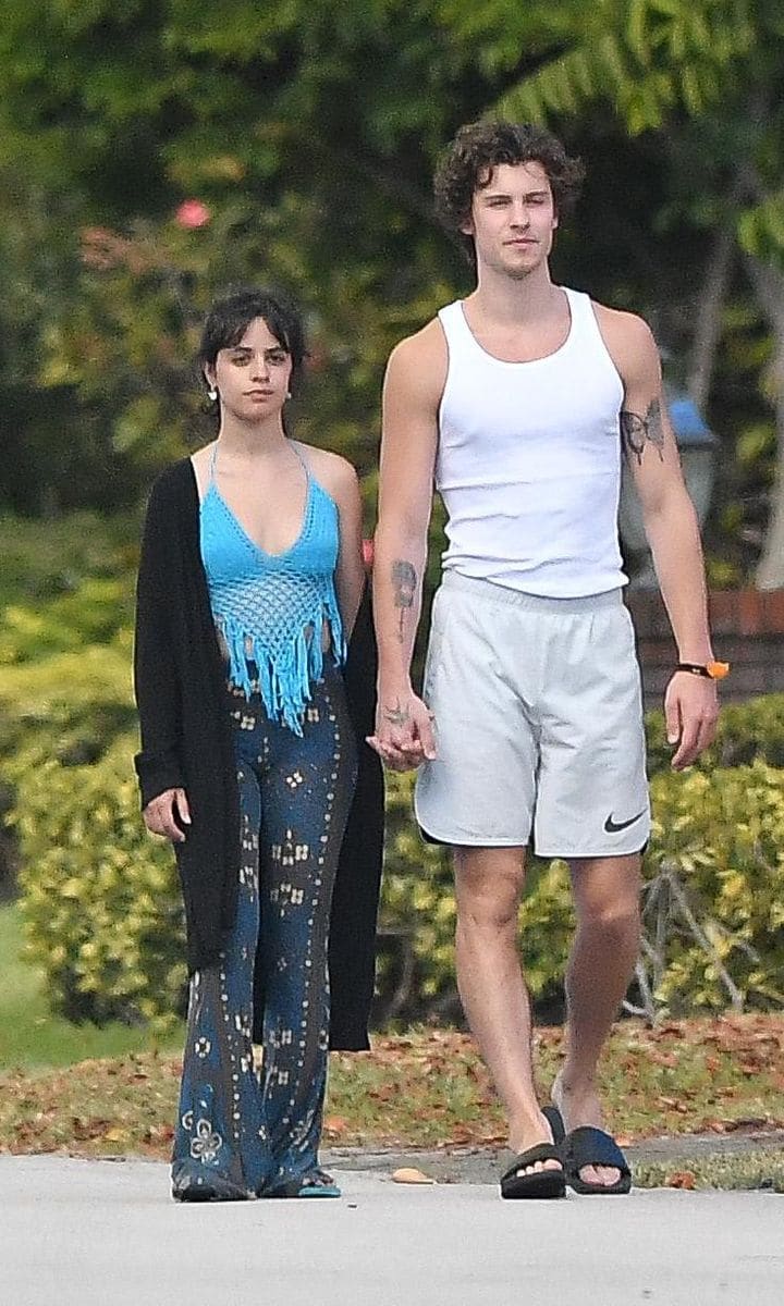 Camila Cabello, Shawn Mendes