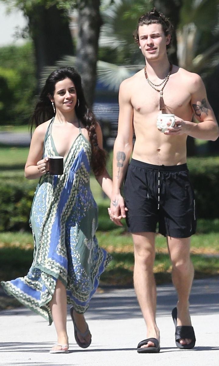 Camila Cabello and Shawn Mendes