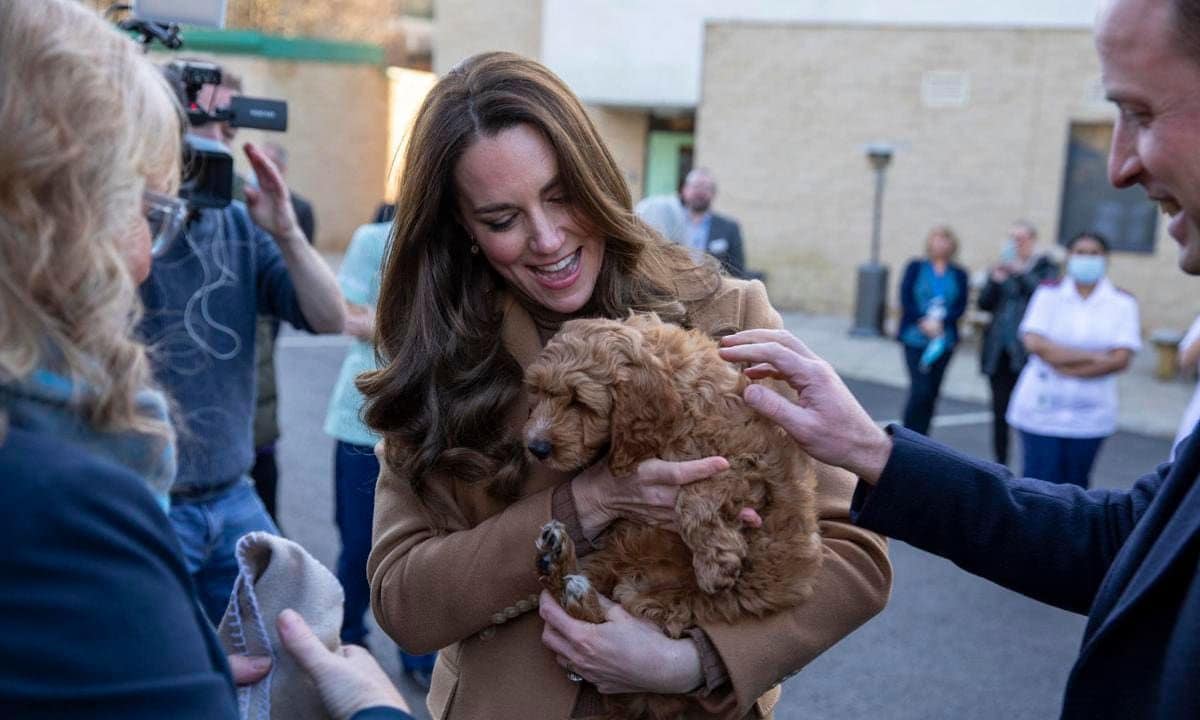 Britain's Catherine, Duchess of Cambridge, watched by her husband Britain's Prince William, Duke of Cambridge, holds a therapy puppy, before unveiling it's name, Alfie, to members of staff during their visit to Clitheroe Community Hospital in north east England on January 20, 2022. - The puppy, funded through the hospital charity ELHT&Me using a grant from NHS Charities Together, will be used to support the wellbeing of staff and patients at the hospital. (Photo by James Glossop / POOL / AFP) (Photo by JAMES GLOSSOP/POOL/AFP via Getty Images)