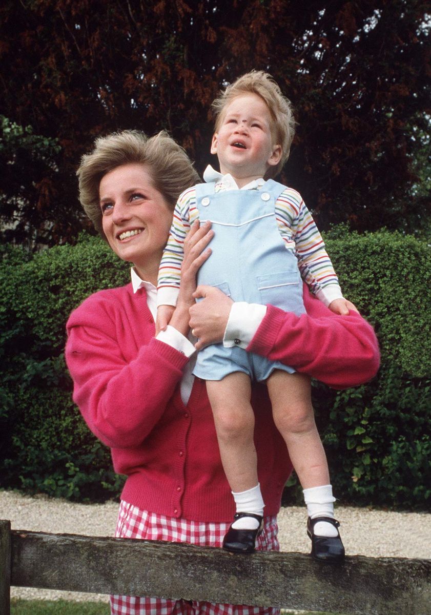 Princess Of Wales With Prince Harry At Highgrove 