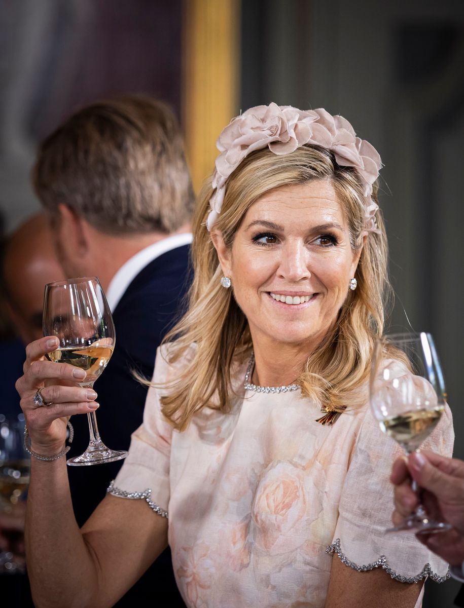 Queen Máxima stuns in romantic pink during the German state visit.