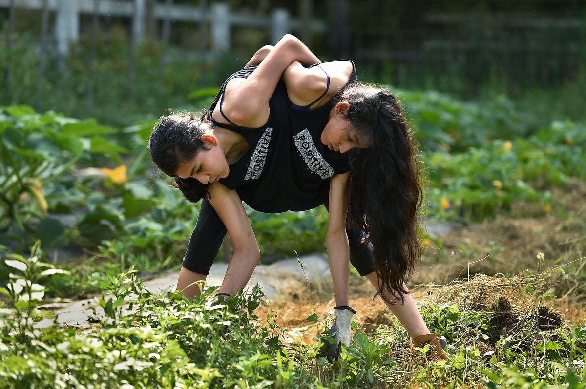 The twins working at their high schools farm in 2016