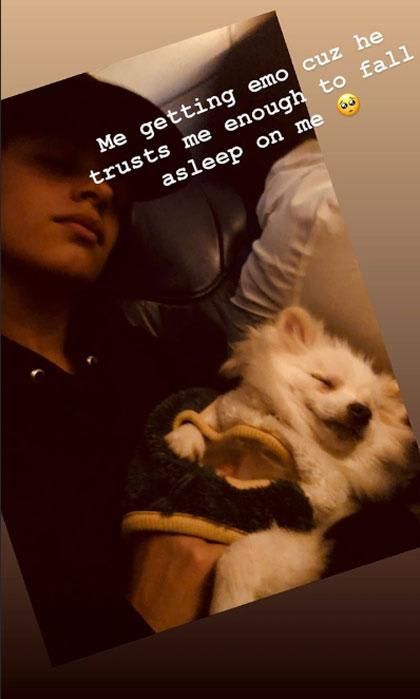 Camila Cabello romance dog post