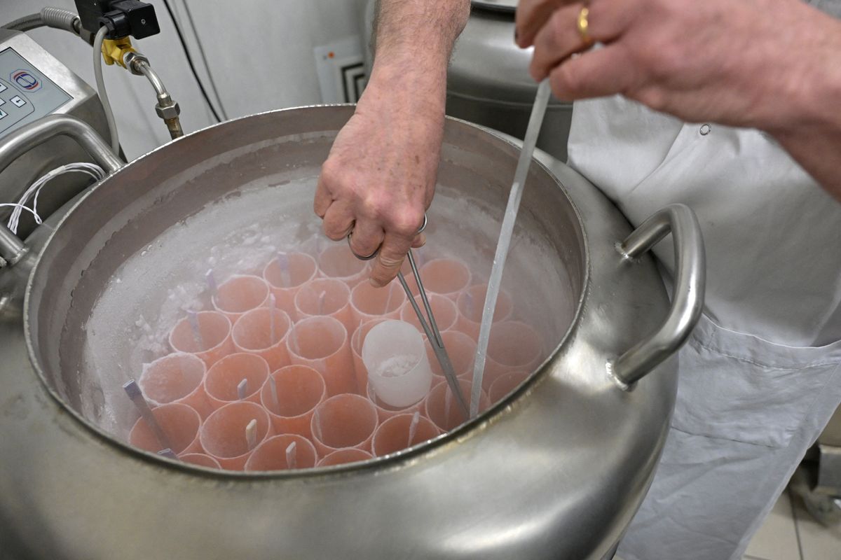Once a woman is ready to attempt pregnancy, her eggs must be thawed and fertilized, usually through IVF with intracytoplasmic sperm injection, or ICSI.