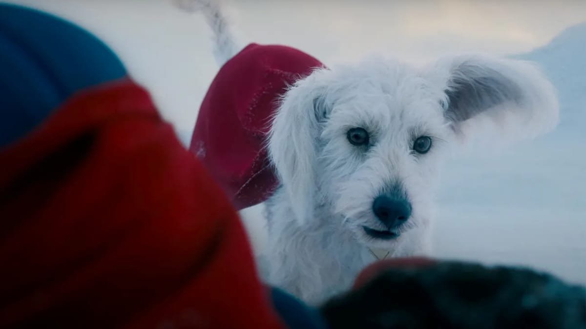 Krypto the Superdog in upcoming 'Superman' reboot