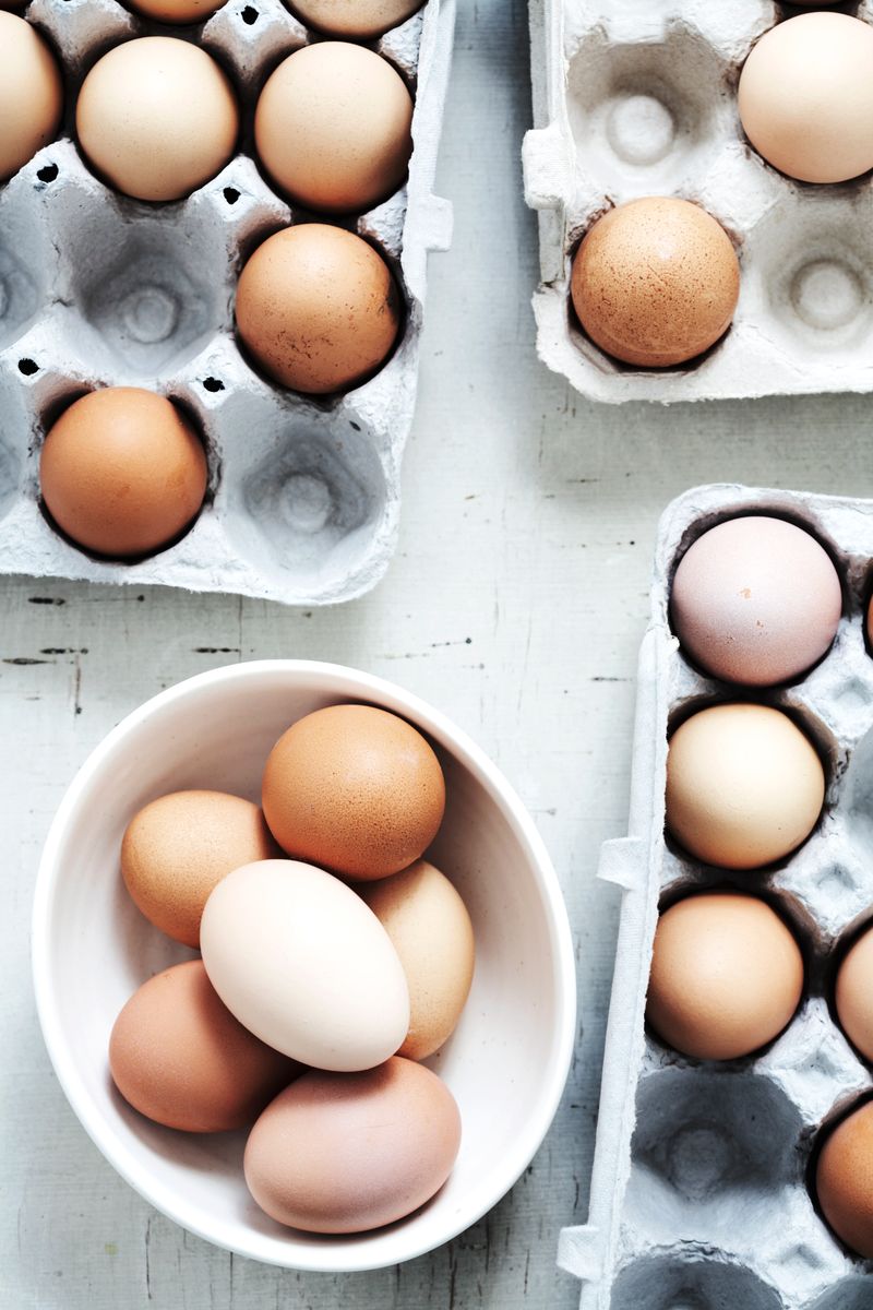 Eggs: Protein-Packed Powerhouses