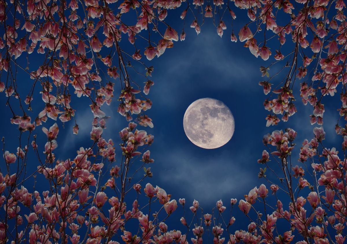 May's full Flower moon