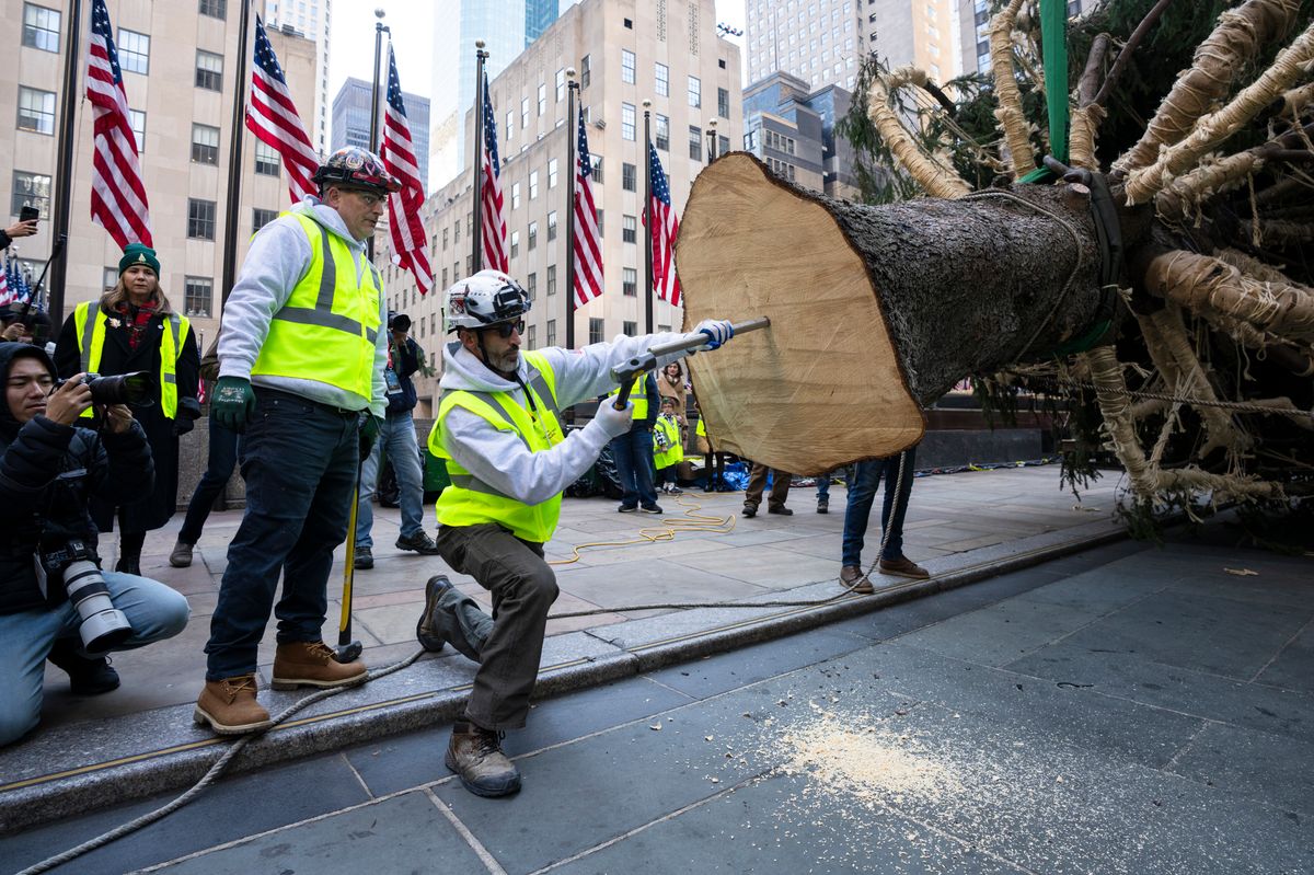 Workers install the Rockefeller Center Christmas tree.