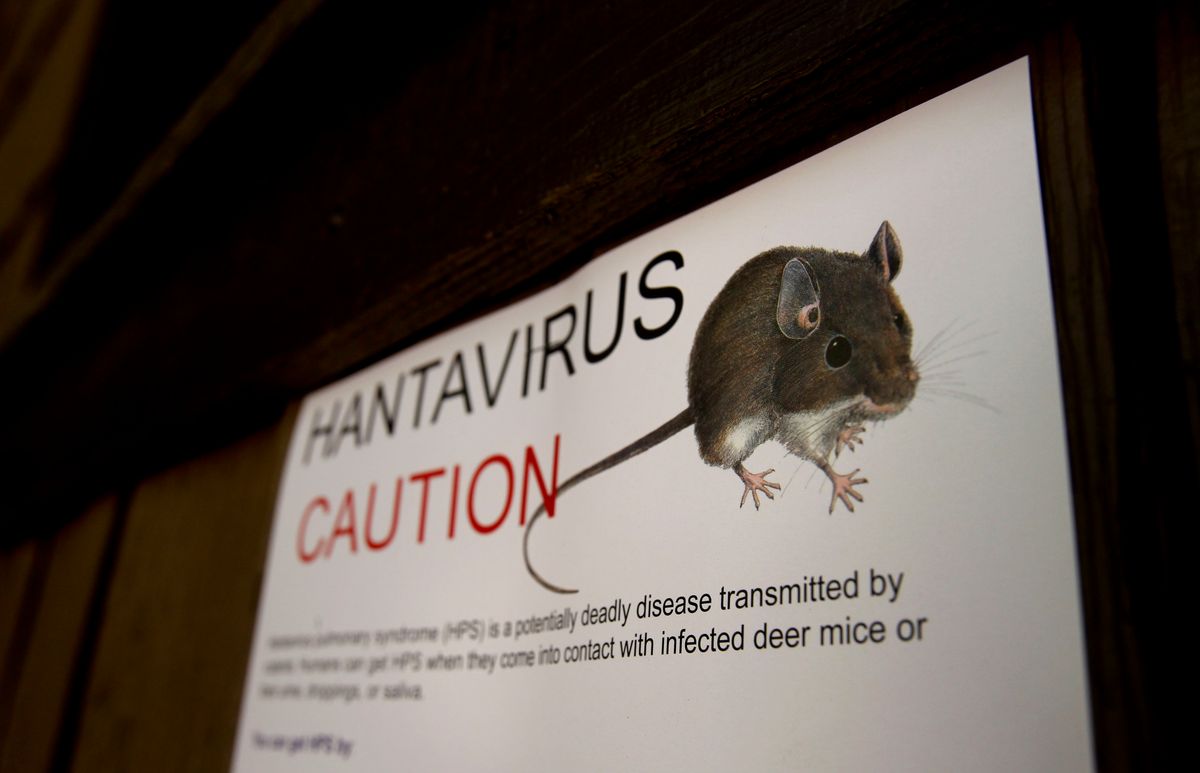 While the outbreak on the MV Hondius has required serious medical intervention and international coordination, health officials describe it as a contained situation rather than a widespread public threat. 