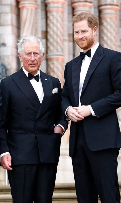 Prince Harry and Prince Charles 