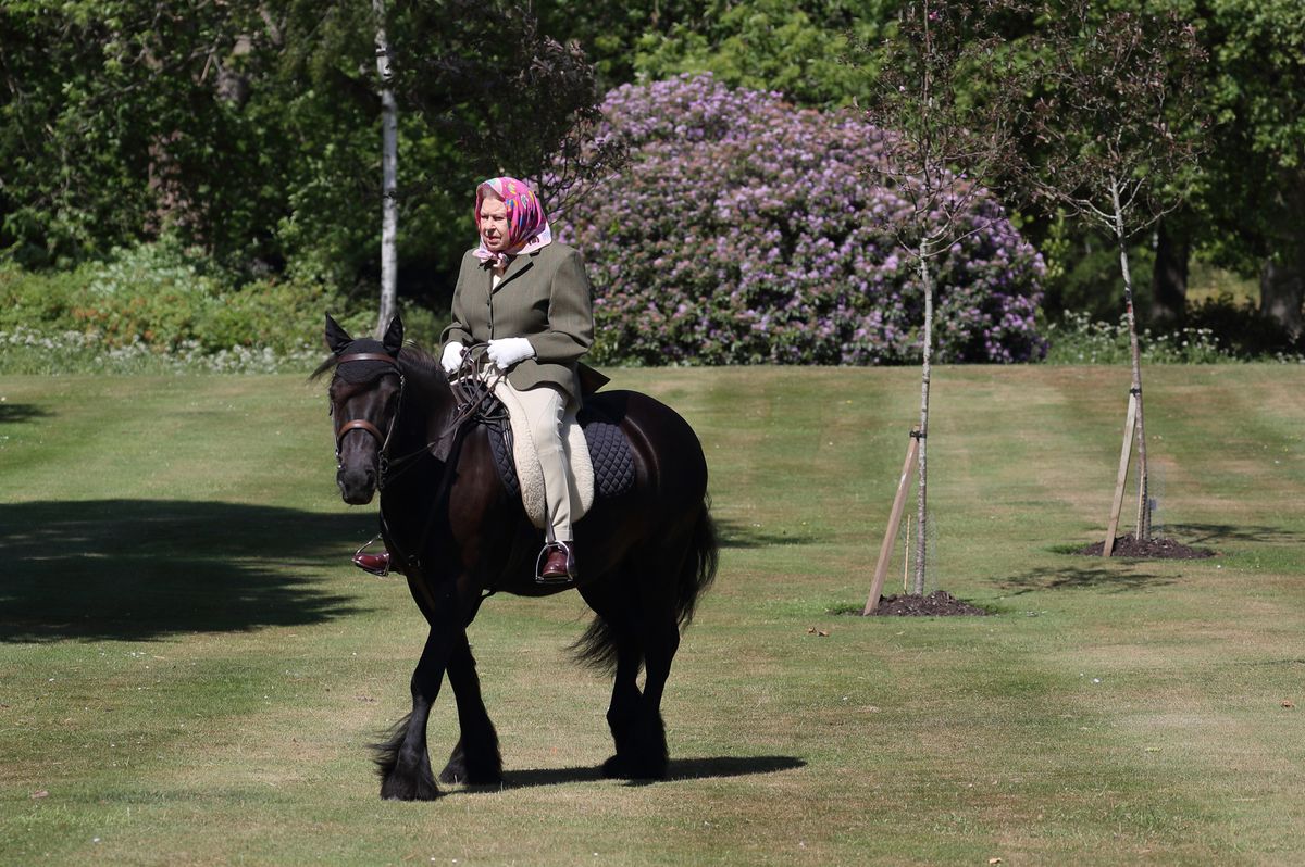  Queen Elizabeth II rides Balmoral Fern, a 14-year-old Fell Pony, in Windsor Home Park over the weekend of May 30 and May 31, 2020 in Windsor, England. 